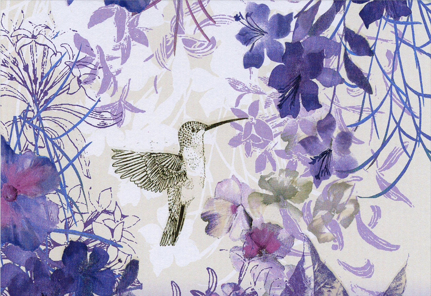 Hummingbird Boxed Notecard