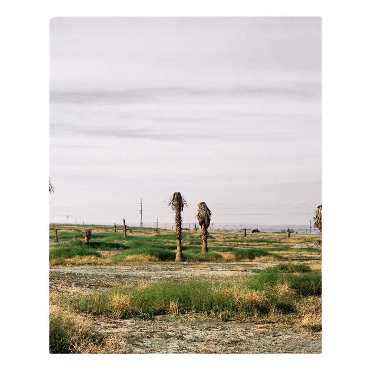 Anthony Hernandez Discarded