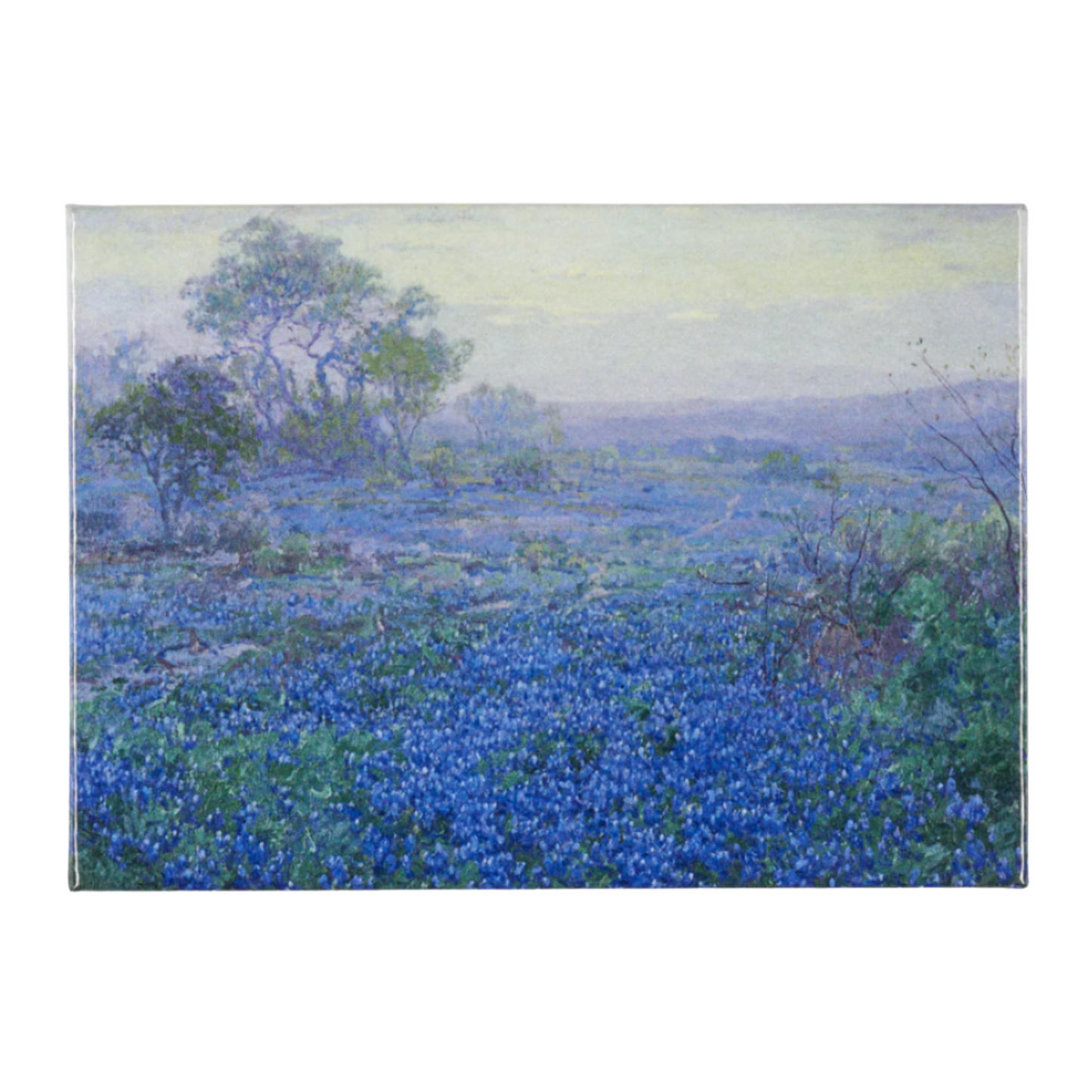Magnet Amon Carter Single A Cloudy Day, Bluebonnets near San Antonio, Texas