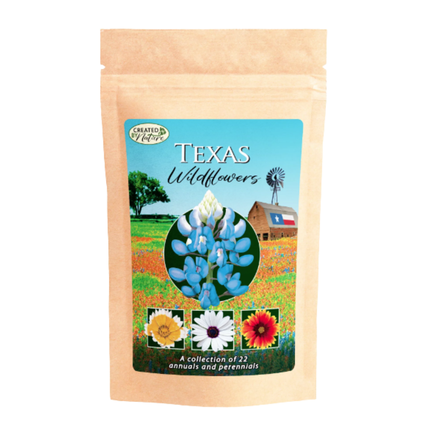 Texas Wildflower Seeds