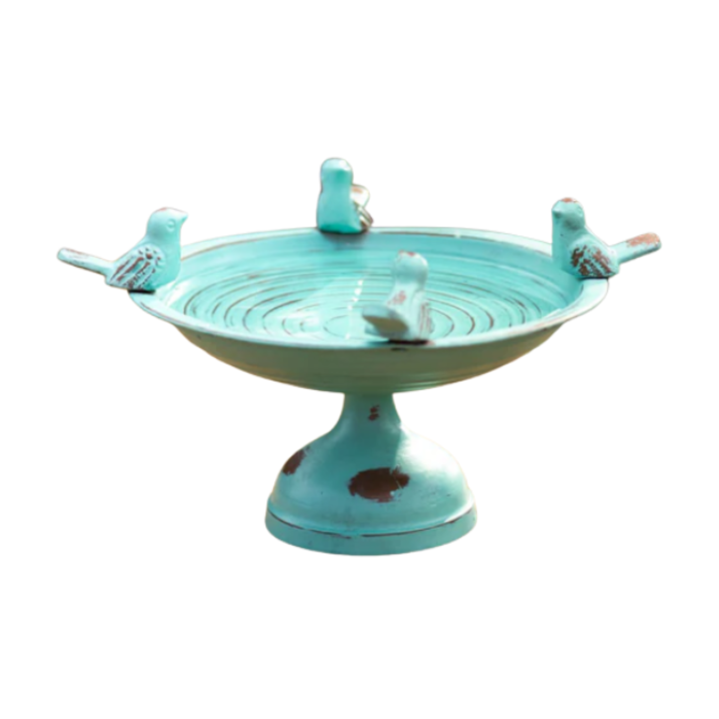 Perched Bird Bath
