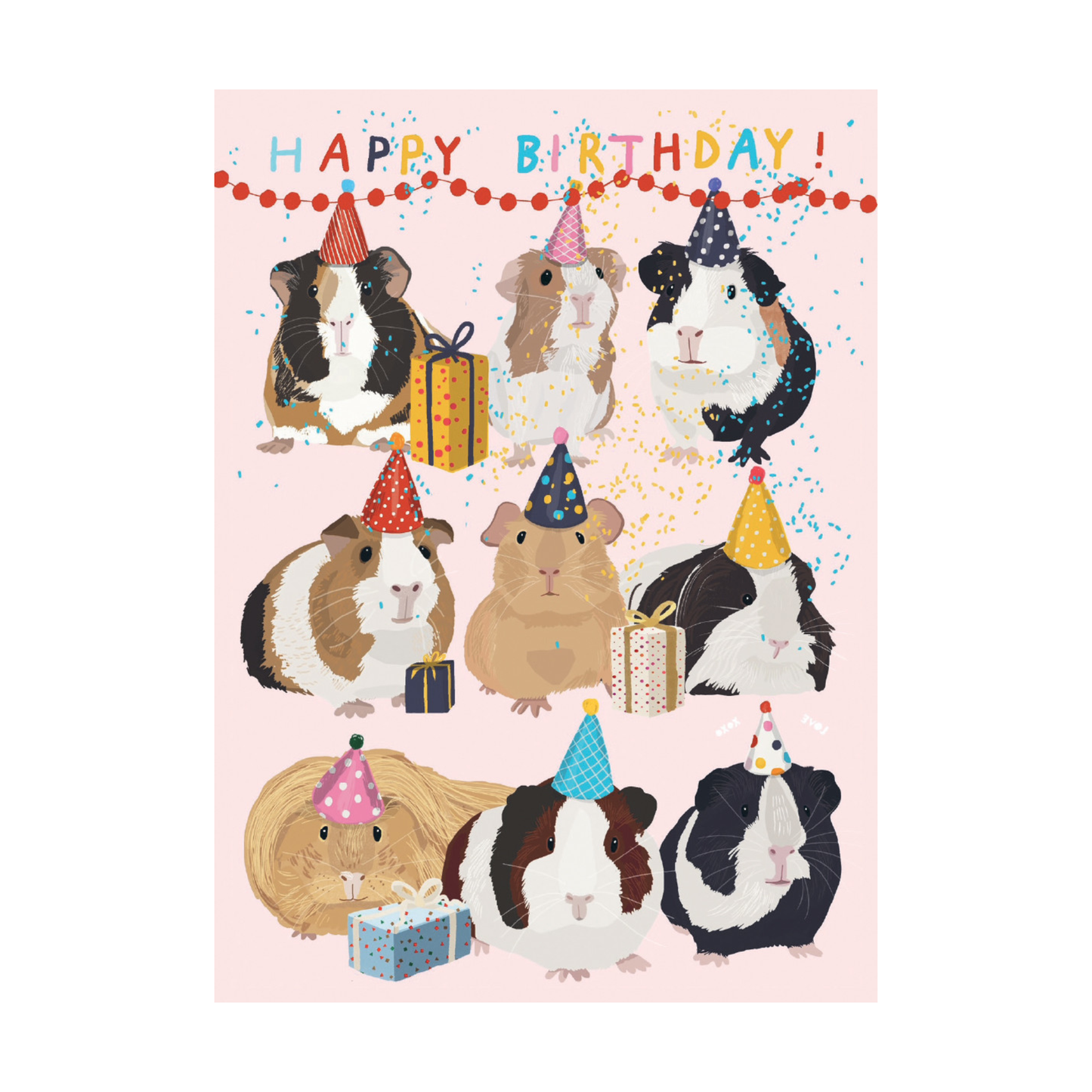 Birthday Guineas Notecard