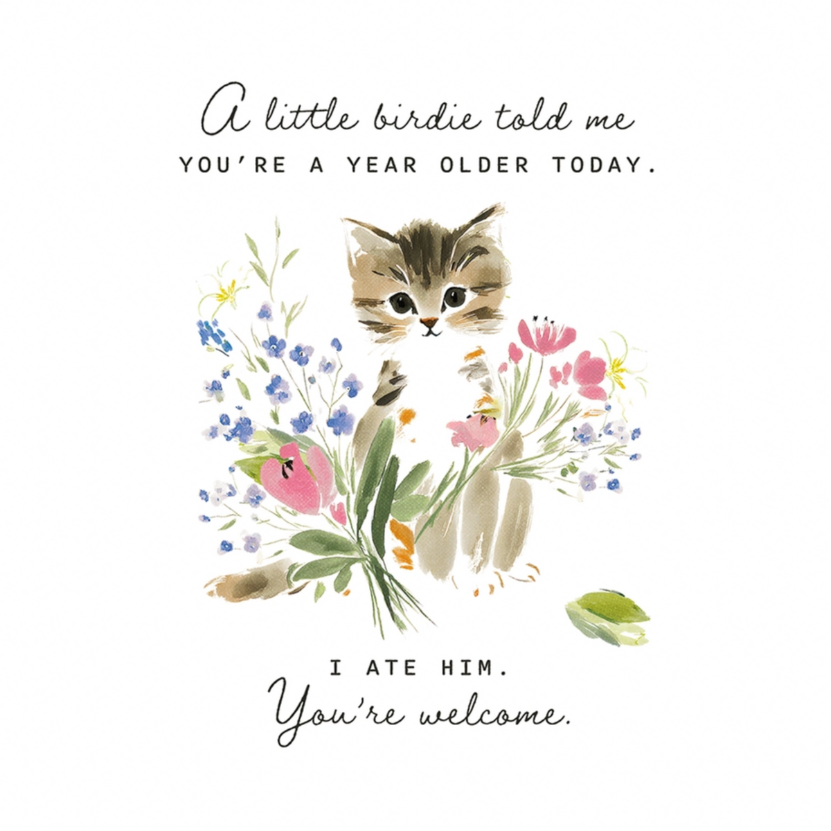 A Little Birdie Birthday Card