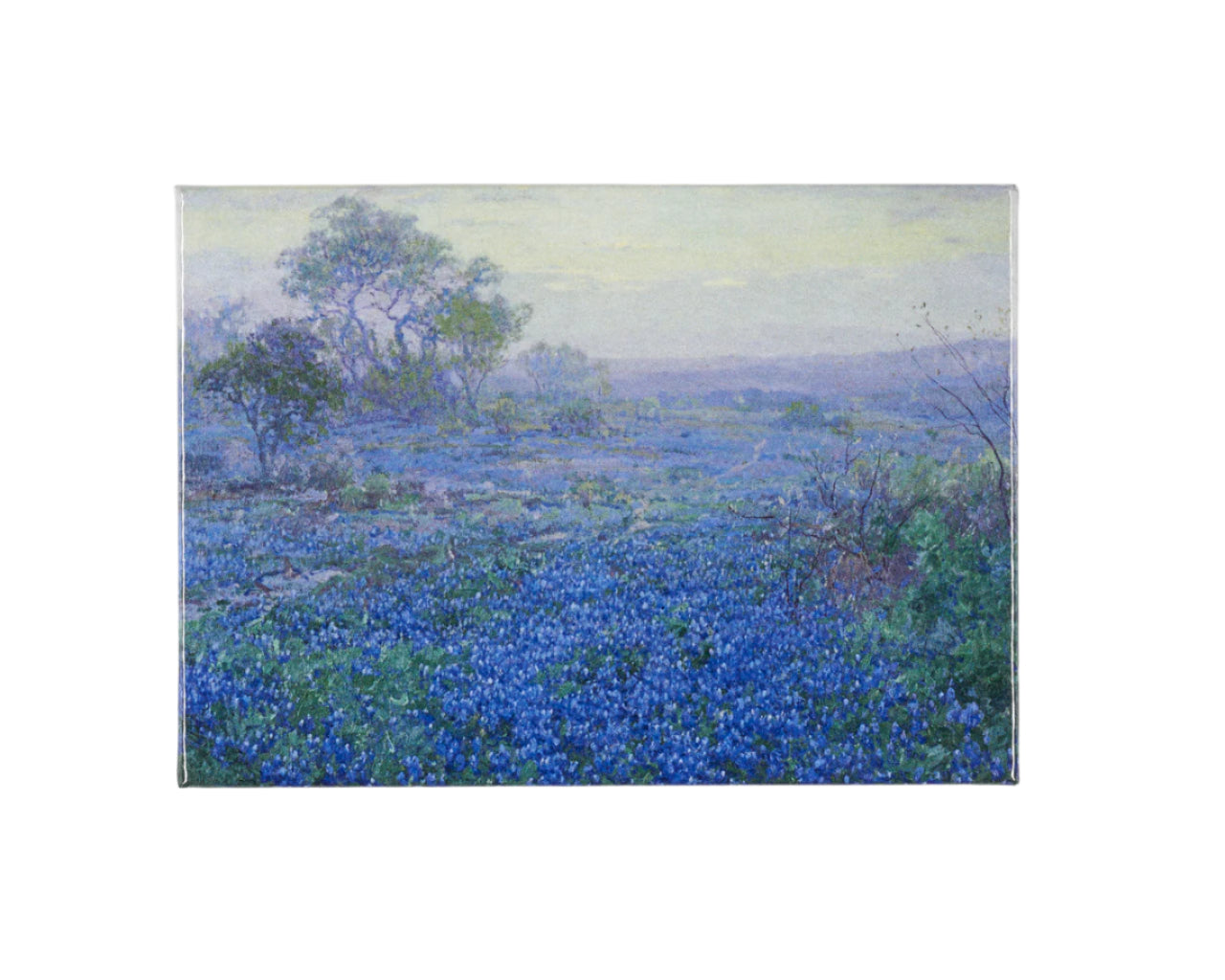 Magnet Amon Carter Single A Cloudy Day, Bluebonnets near San Antonio, Texas