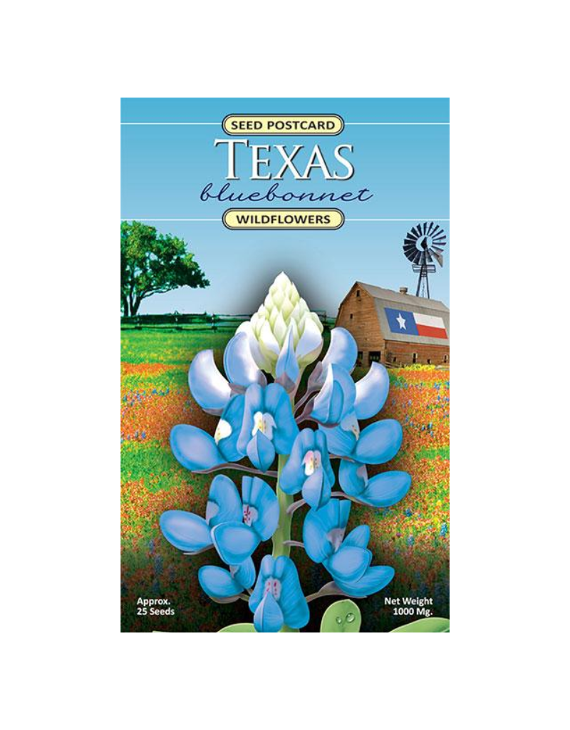 Texas Bluebonnet Seed Postcard