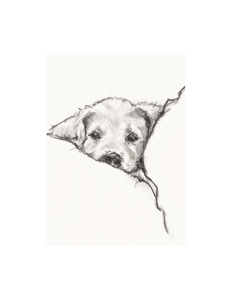 Dog in Bed Notecard
