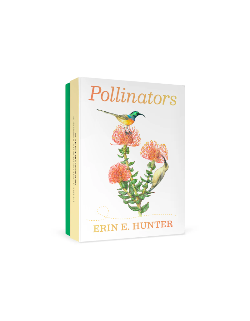 Erin E. Hunter Pollinators Boxed Notecards
