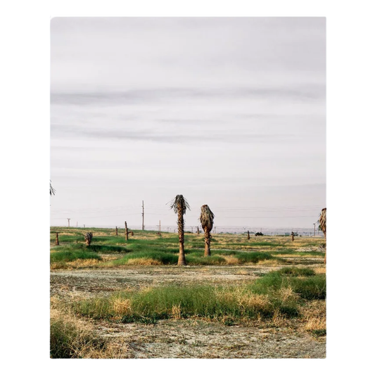 Anthony Hernandez Discarded