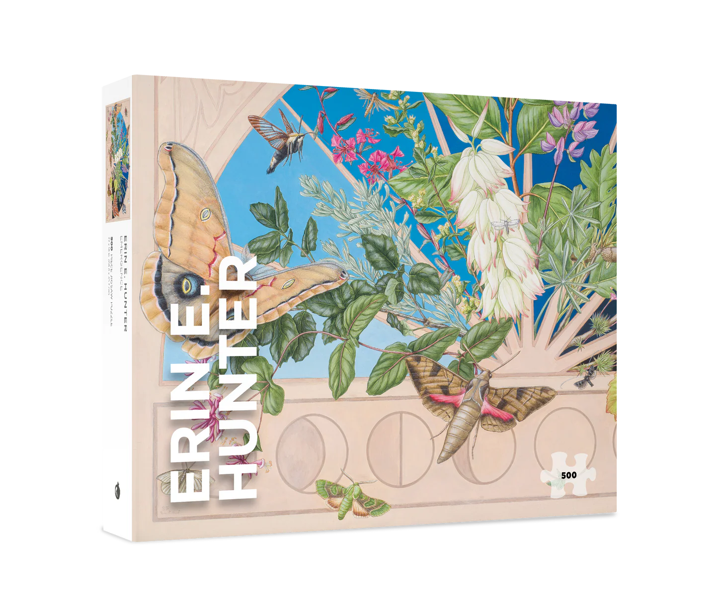 Emergence Puzzle