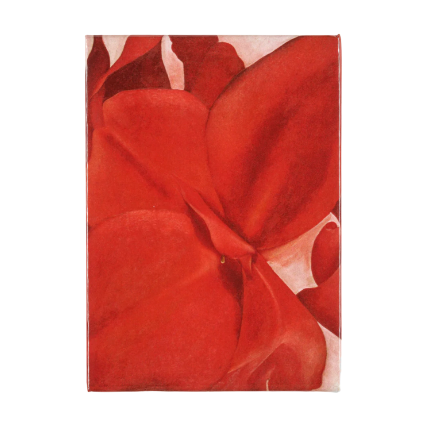 Magnet Amon Carter Single Red Cannas