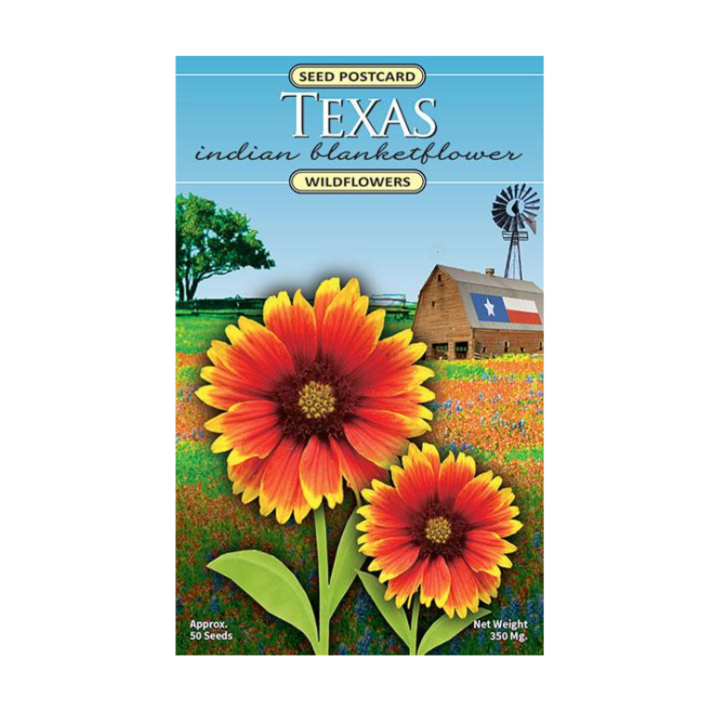Texas Indian Blanketflower Seed Postcard