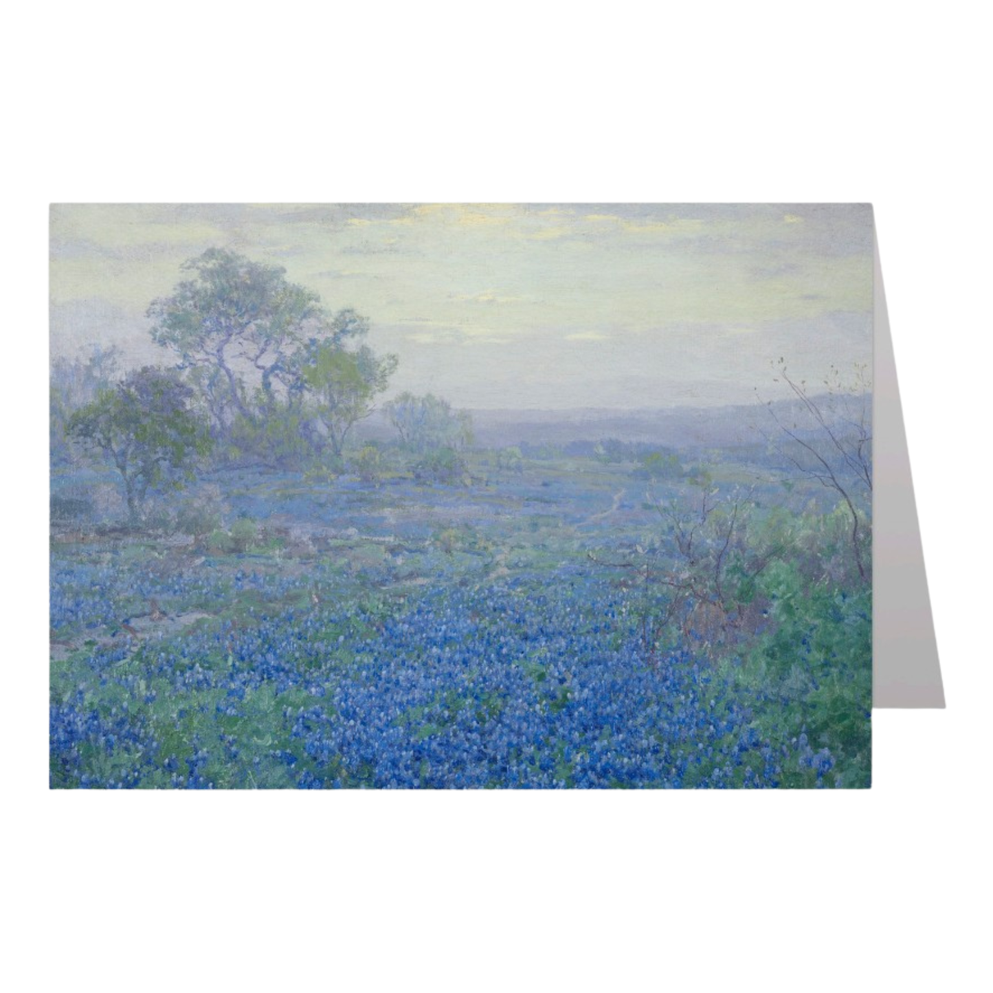 A Cloudy Day Bluebonnets Notecard