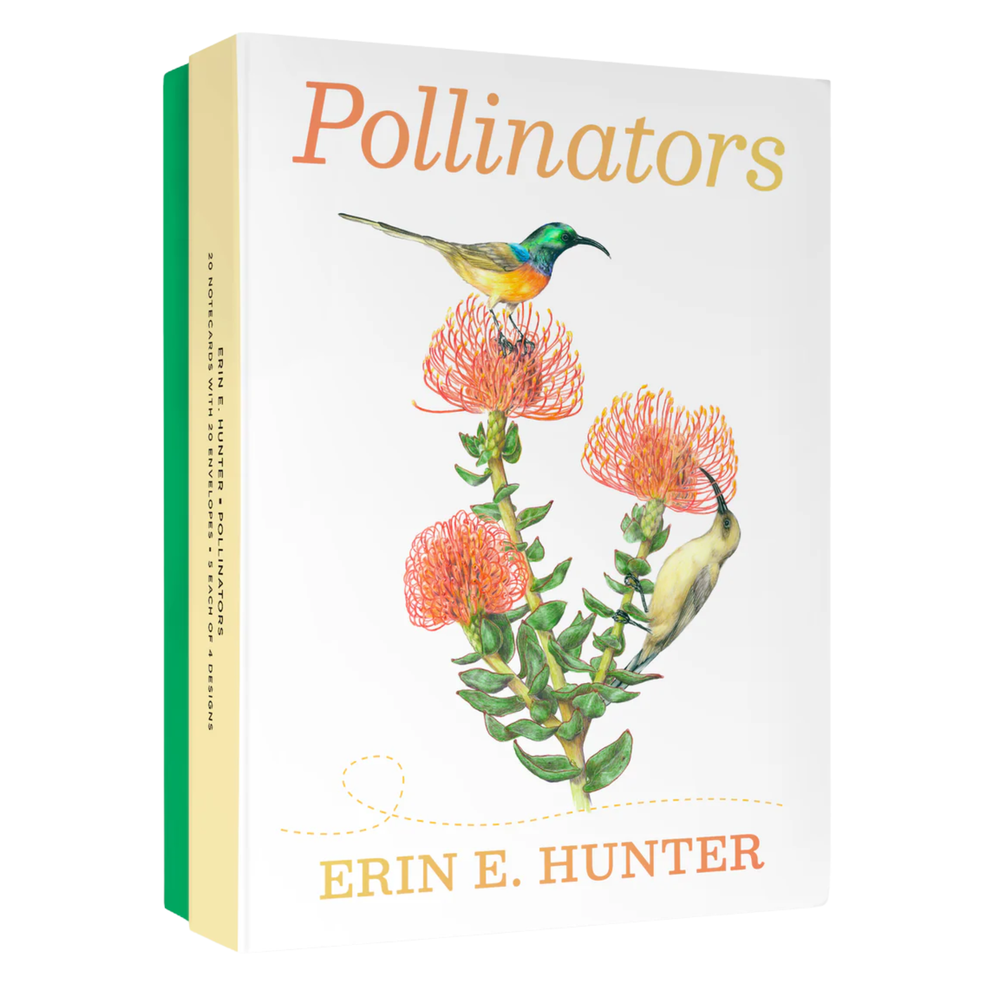 Erin E. Hunter Pollinators Boxed Notecards