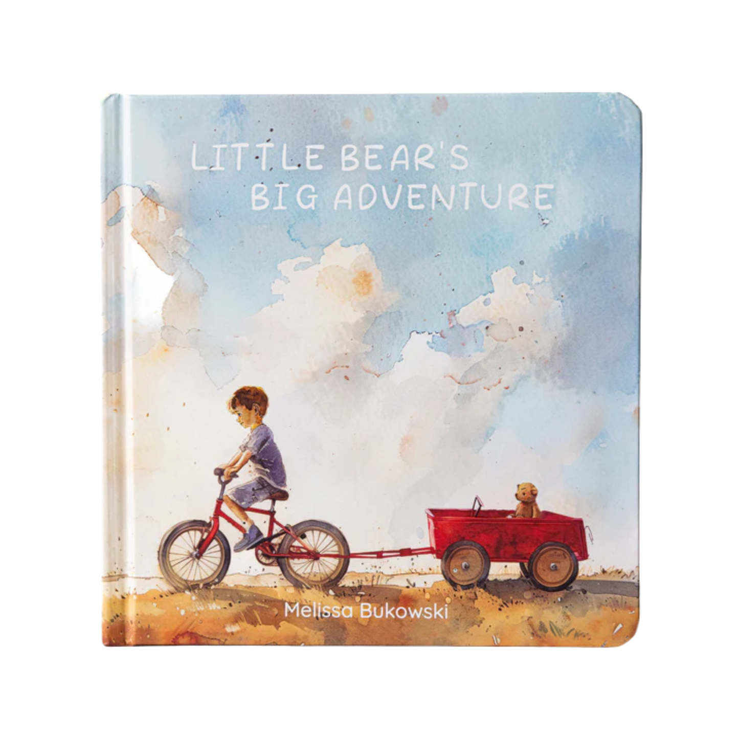 Little Bear's Big Adventure Book