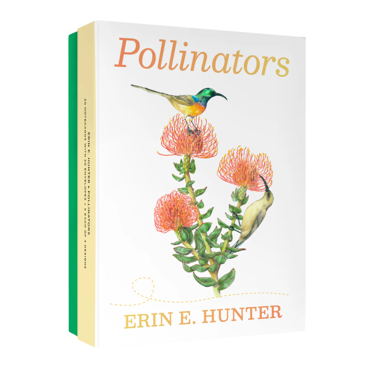 Erin E. Hunter Pollinators Boxed Notecards