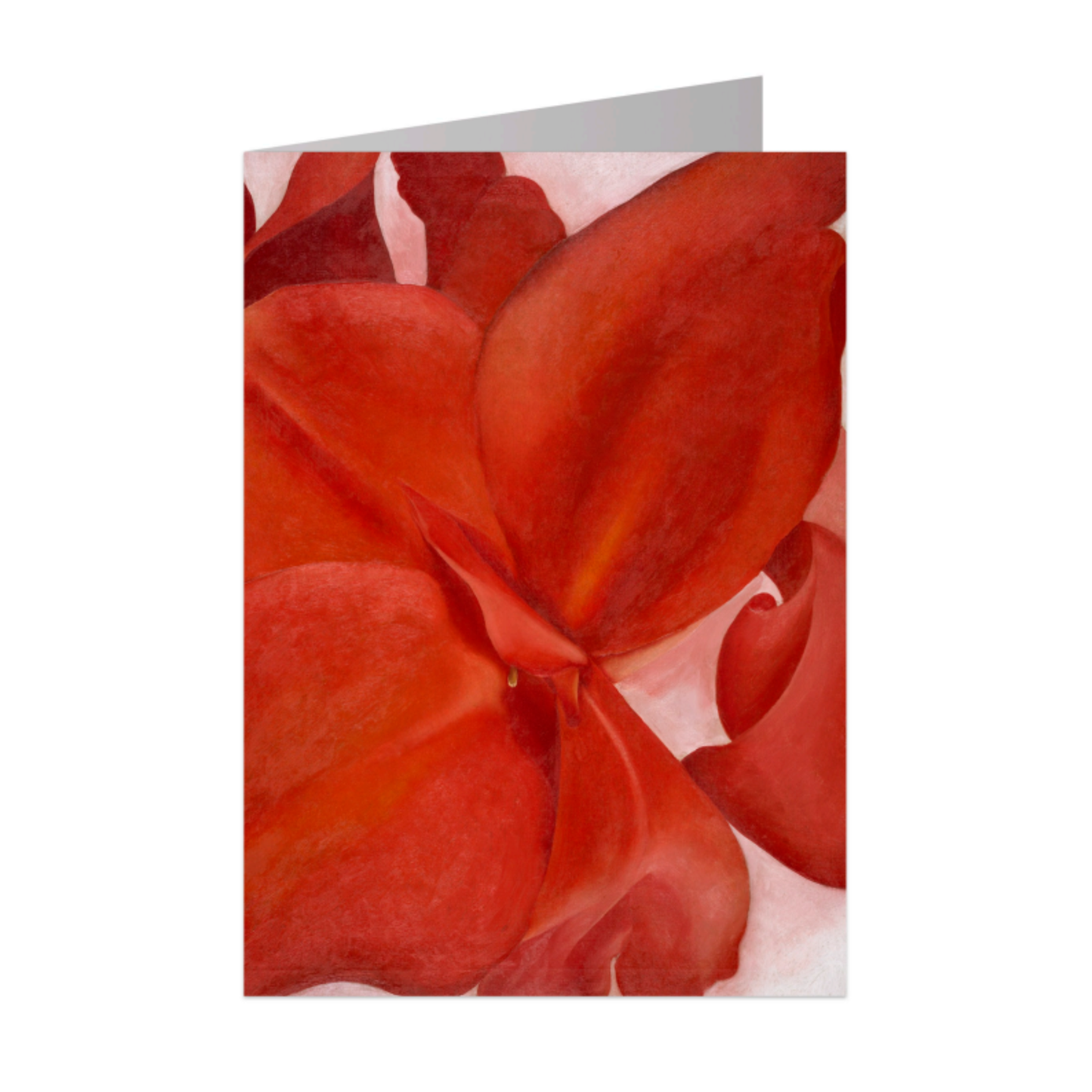 Red Cannas Notecard