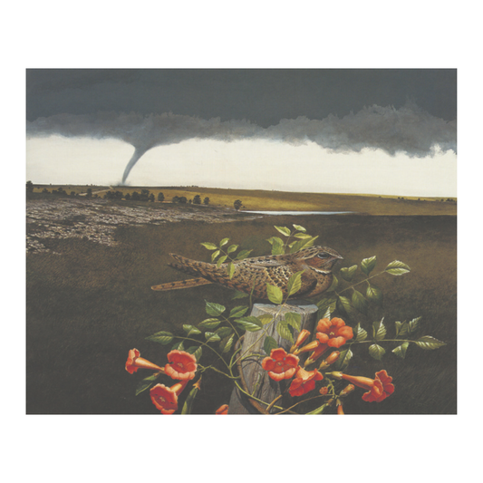 Amon Carter Poster Prints Chuck-will's Widow