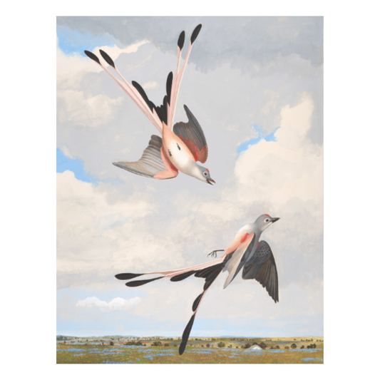 Amon Carter Poster Prints Scissor Tailed Flycatcher