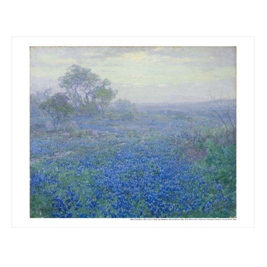 Amon Carter Poster Prints A Cloudy Day, Bluebonnets near San Antonio, Texas
