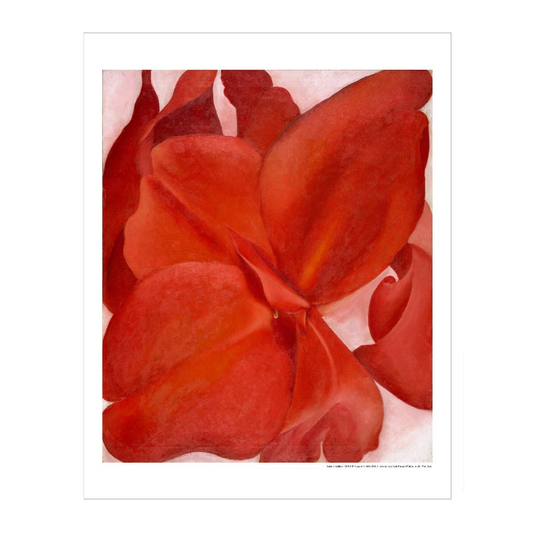 Amon Carter Poster Prints Red Cannas