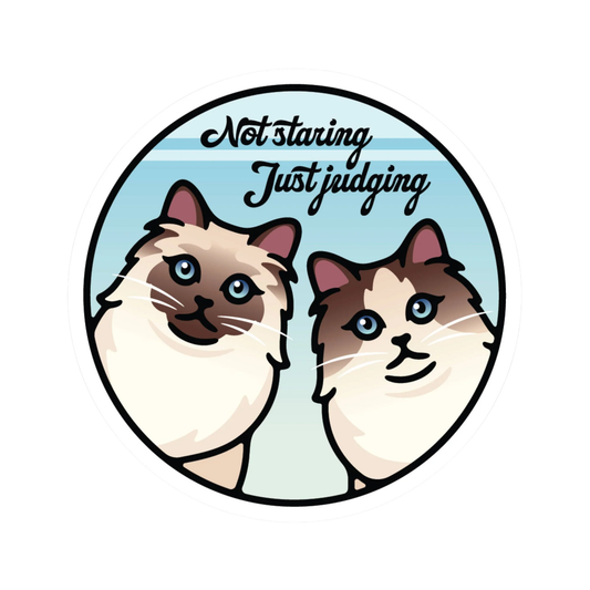 Not Staring Just Judging Vinyl Sticker