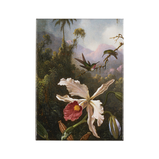 Magnet Amon Carter Single Two Hummingbirds Above a White Orchid