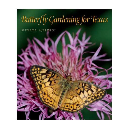 Butterfly Gardening in Texas