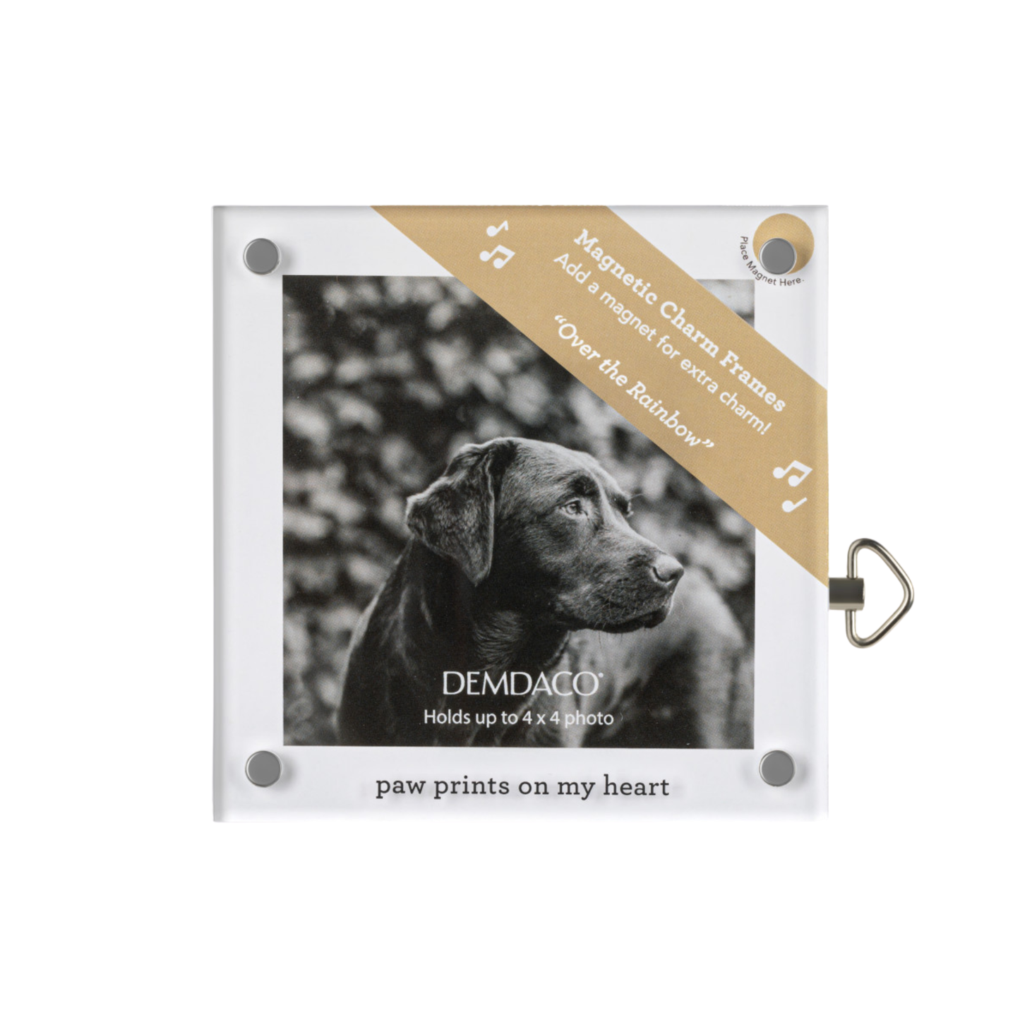 Paw Prints Acrylic Frame