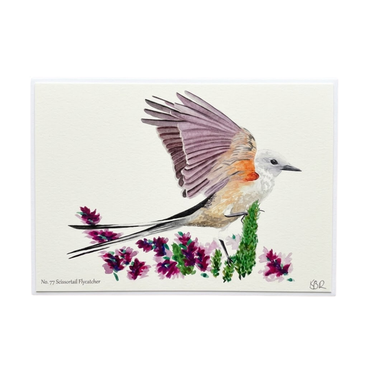 Scissor-Tailed Flycatcher Notecard