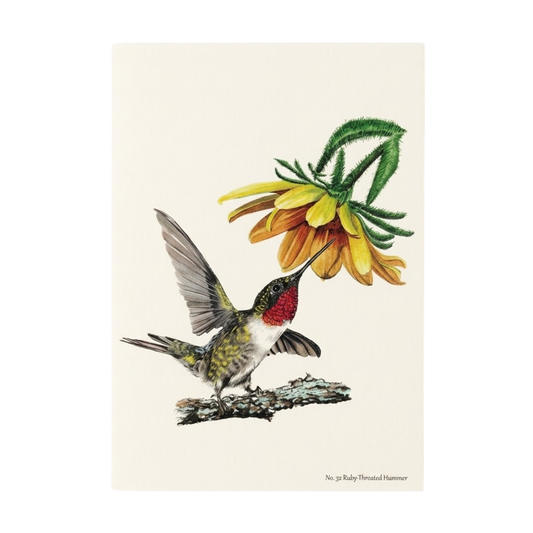 Ruby-Throated Hummer Notecard