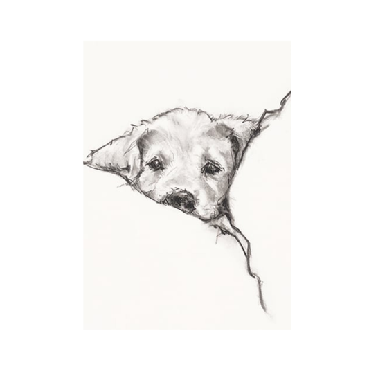 Dog in Bed Notecard