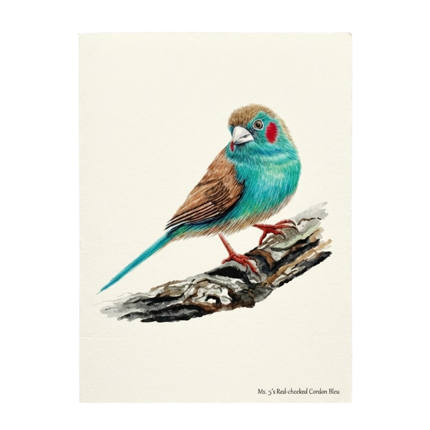Red-Cheeked Cordon Bleu Notecard