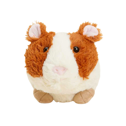 Guinea Pig Warmie