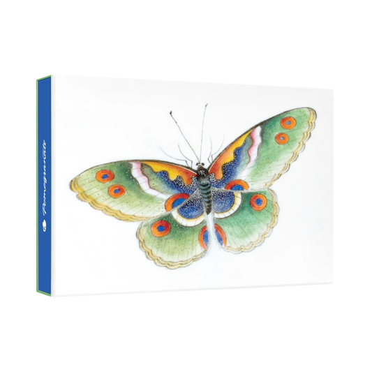 Butterfly Small Boxed Cards