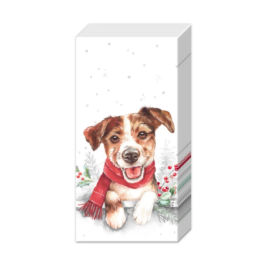Louie Tissues