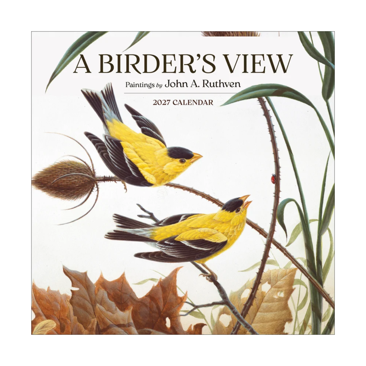 A Birder's View: Paintings by John A. Ruthven 2027 Wall Calendar