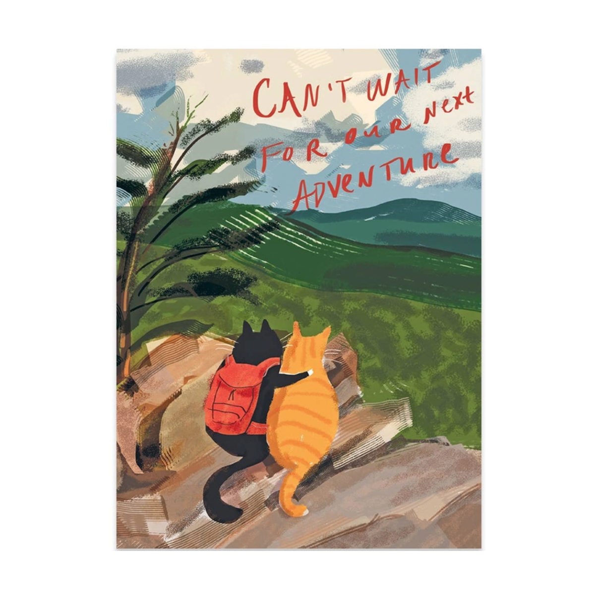 Cat Adventure Birthday Card
