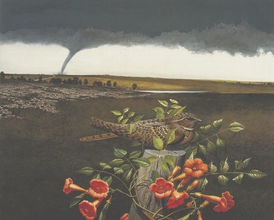 Amon Carter Poster Prints Chuck-will's Widow