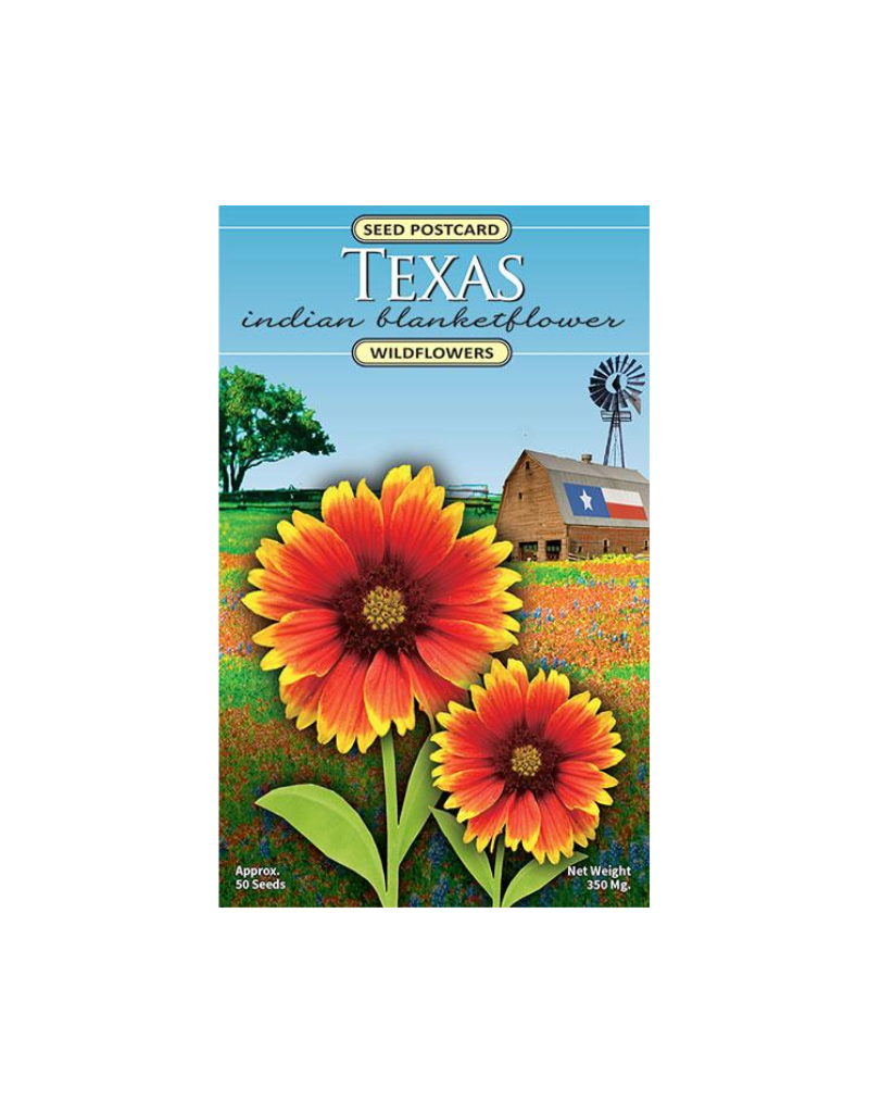 Texas Indian Blanketflower Seed Postcard