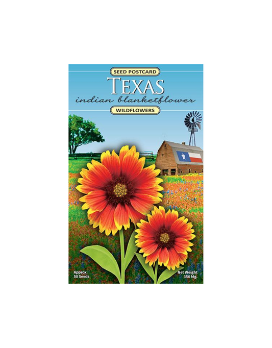 Texas Indian Blanketflower Seed Postcard