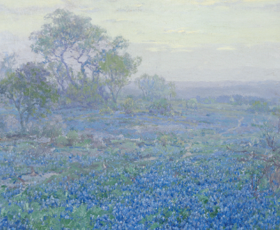 A Cloudy Day Bluebonnets Notecard