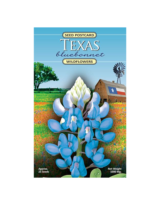 Texas Bluebonnet Seed Postcard