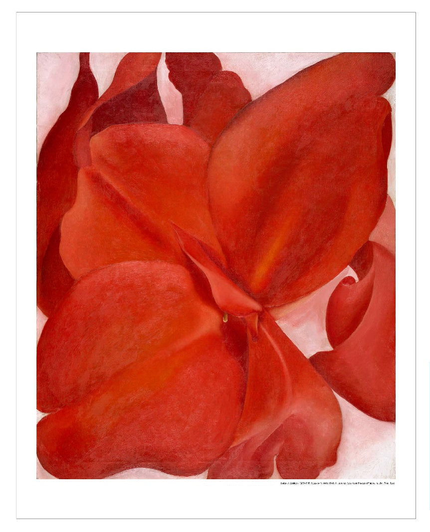 Amon Carter Poster Prints Red Cannas