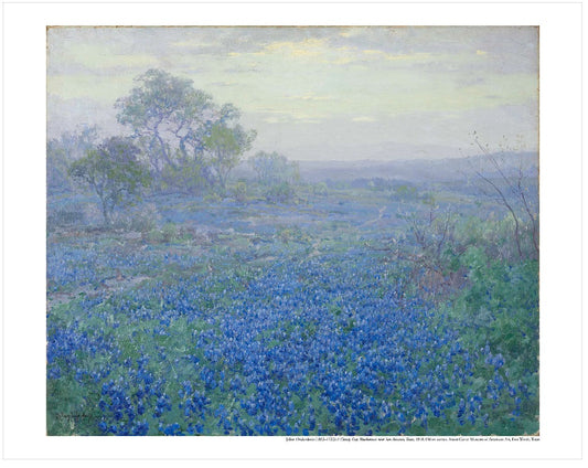 Amon Carter Poster Prints A Cloudy Day, Bluebonnets near San Antonio, Texas