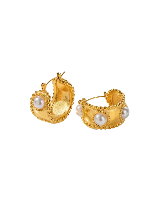 Anne Hoops