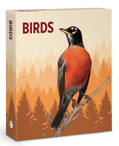 Birds Knowledge Cards