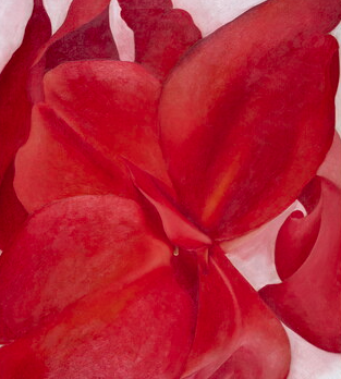 Red Cannas Notecard