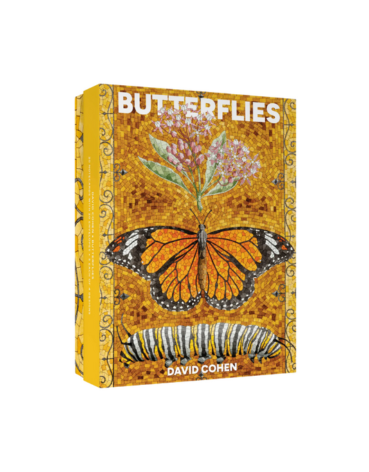 Butterflies Boxed Notecard